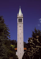 Campanile - Straight Up