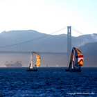 San Francisco Bay Area Collection
