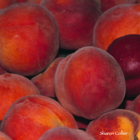 California Peaches by A Different Angle