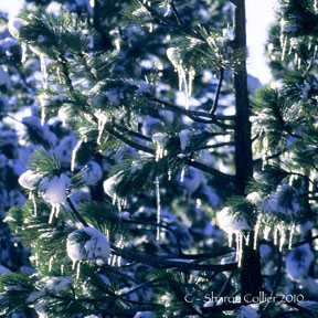 Icicles by A Different Angle